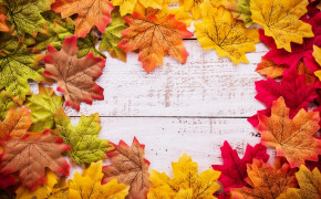 Autumn Leaves Wallpaper 1332x850 55990