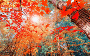 Autumn Aesthetic Wallpaper 1600x900 55972