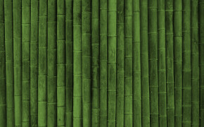 Bamboo Wallpaper 1920x1080 56031