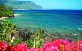Hawaii Beach Wallpaper 1680x1050 56234