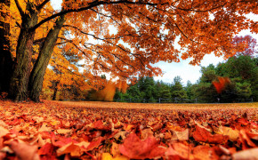 Autumn Season Wallpaper 2560x1600 55998