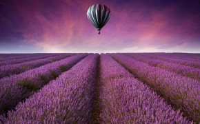 Purple Field Wallpaper 3500x1920 56897