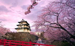 Japanese Cherry Blossom Wallpaper 1600x1200 56726
