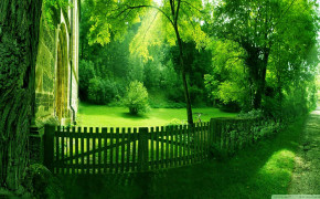 Green Nature Landscape Wallpaper 1920x1080 56712