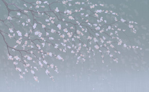 Sakura Wallpaper 1049x699 56920