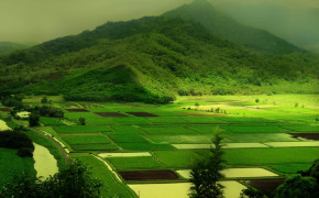 Green Nature Landscape Wallpaper 1600x1000 56714