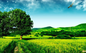 Green Nature Landscape Wallpaper 1366x768 56717