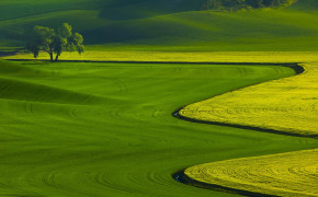 Green Nature Landscape Wallpaper 1920x1080 56716