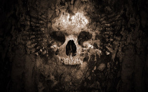 3D Skull HD Images 05909