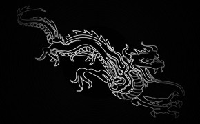 Black White Dragon Latest Wallpapers 05978