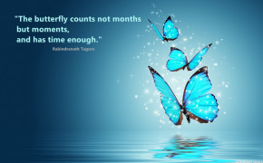 Butterfly Counts Quotes Wallpaper 05669