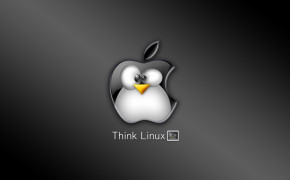 Linux 06209