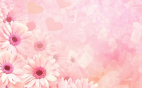 Pink Latest Wallpapers 06253