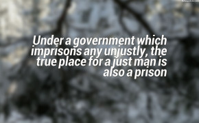 Government Freedom Quotes Wallpaper 05766