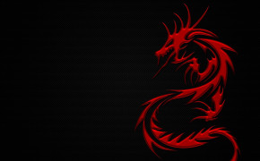 Black Red Dragon Pictures HD 05967