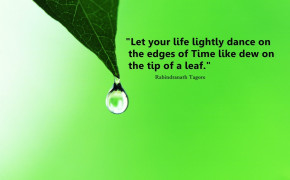 Tip of A Leaf Quotes Wallpaper 05865