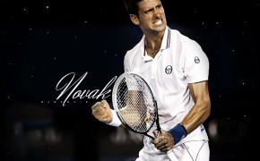 Novak Djokovic Wallpaper 1024x768 60347