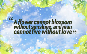 Man Cannot Live Without Love Quotes HD Wallpaper 05820