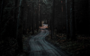 Forest Road Wallpaper 3840x2160 59899