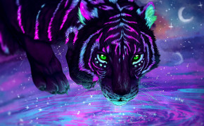 Tiger HD Desktop Wallpaper 62118