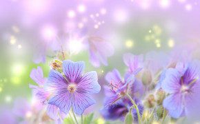 Spring HD Wallpapers 62002