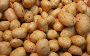 Potatoes Desktop Widescreen Wallpaper 61715