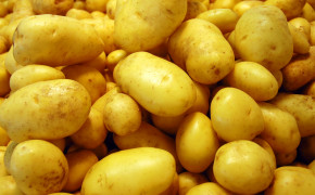 Potatoes High Definition Wallpaper 61720