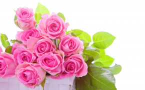 Pink Rose Background Wallpapers 61668
