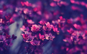 Spring Background Wallpapers 61993