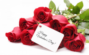 Valentines Day Rose HD Wallpapers 62217