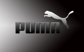 Puma Background Wallpaper 61728