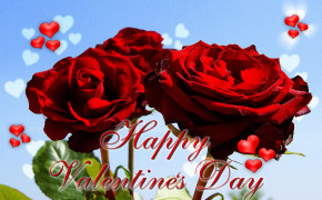 Valentines Day Rose Best Wallpaper 62213