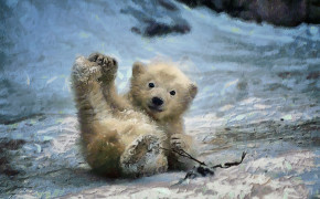 Baby Bear Wallpaper 1920x1200 60998
