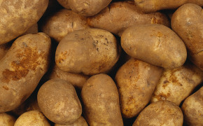 Potatoes Background Wallpaper 61709