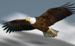 Flying Eagle HD Desktop Wallpaper 61398