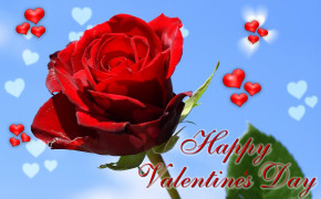 Valentines Day Rose Wallpaper 62220