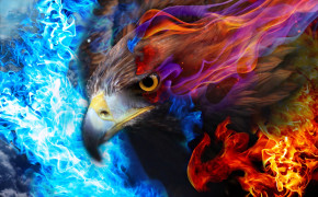 Fire Eagle HD Desktop Wallpaper 61368