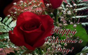 Valentines Day Rose Desktop Wallpaper 62214
