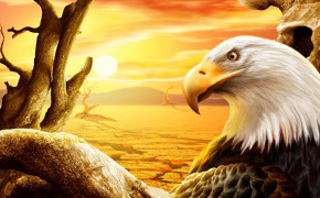Abstract Eagle Best Wallpaper 61115