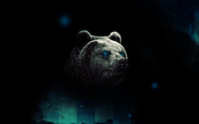 Bear HD Background Wallpaper 61190