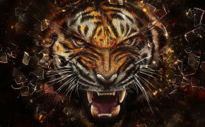 Tiger Wallpaper HD 62122