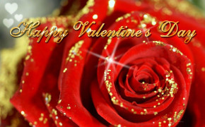 Valentines Day Rose High Definition Wallpaper 62218