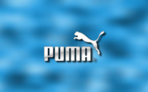 Puma Widescreen Wallpapers 61743