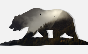 Geometric Bear HD Desktop Wallpaper 61426