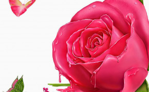 Pink Rose Desktop Wallpaper 61671