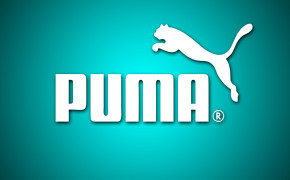 Puma Best Wallpaper 61731