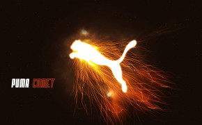Puma Background HD Wallpapers 61727