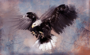 Abstract Eagle Wallpapers Full HD 61126