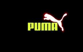 Puma HD Desktop Wallpaper 61736