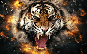 Tiger Background Wallpapers 62113